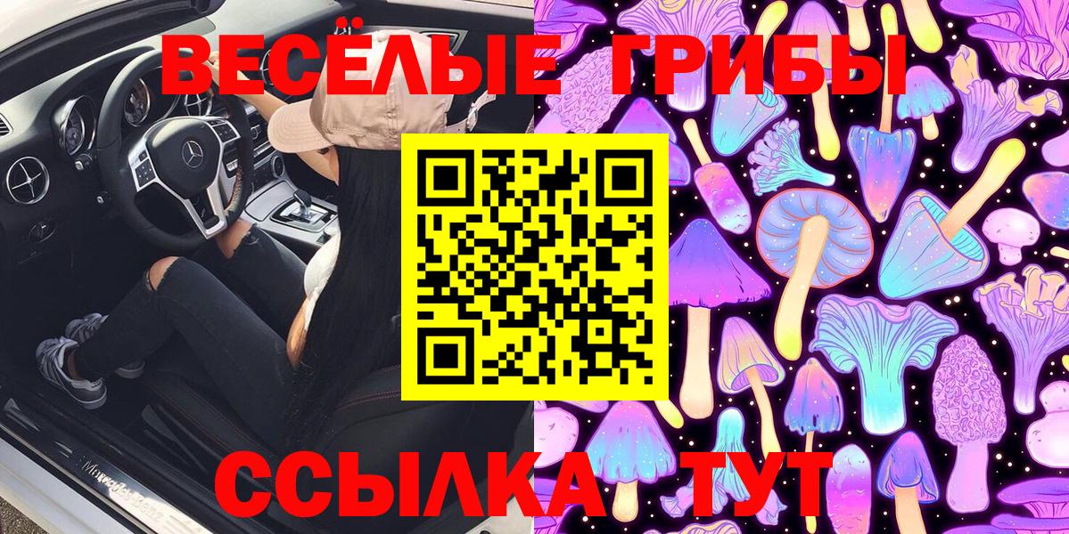 Россия  Псилоцибиновые грибы Psilocybine cubensis  Псилоцибиновые грибы мухоморы  Вход с VPN 